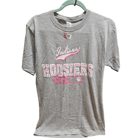 Indiana Hoosiers Gray T-Shirt NCAA Collegiate Hanes Small S - Picture 1 of 3